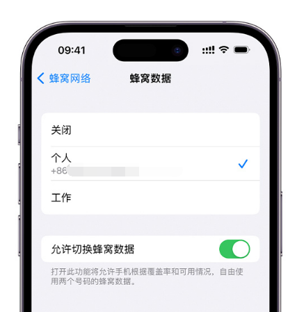 兴城苹果维修服务分享如何在iPhone上使用双卡 