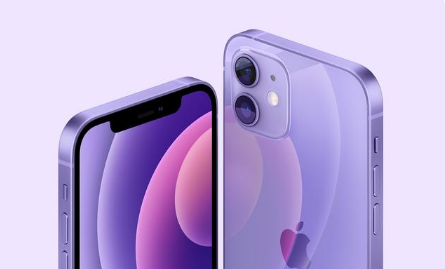 兴城苹果手机维修分享紫色版iPhone 12有什么技术亮点 